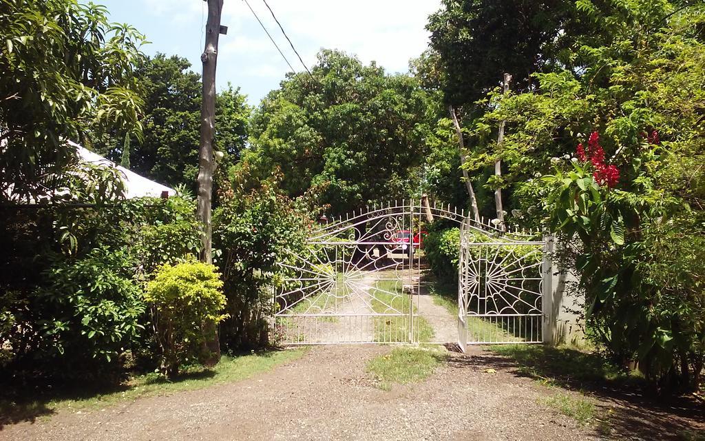 Shades Cottage Guesthouse Blue Hole ภายนอก รูปภาพ