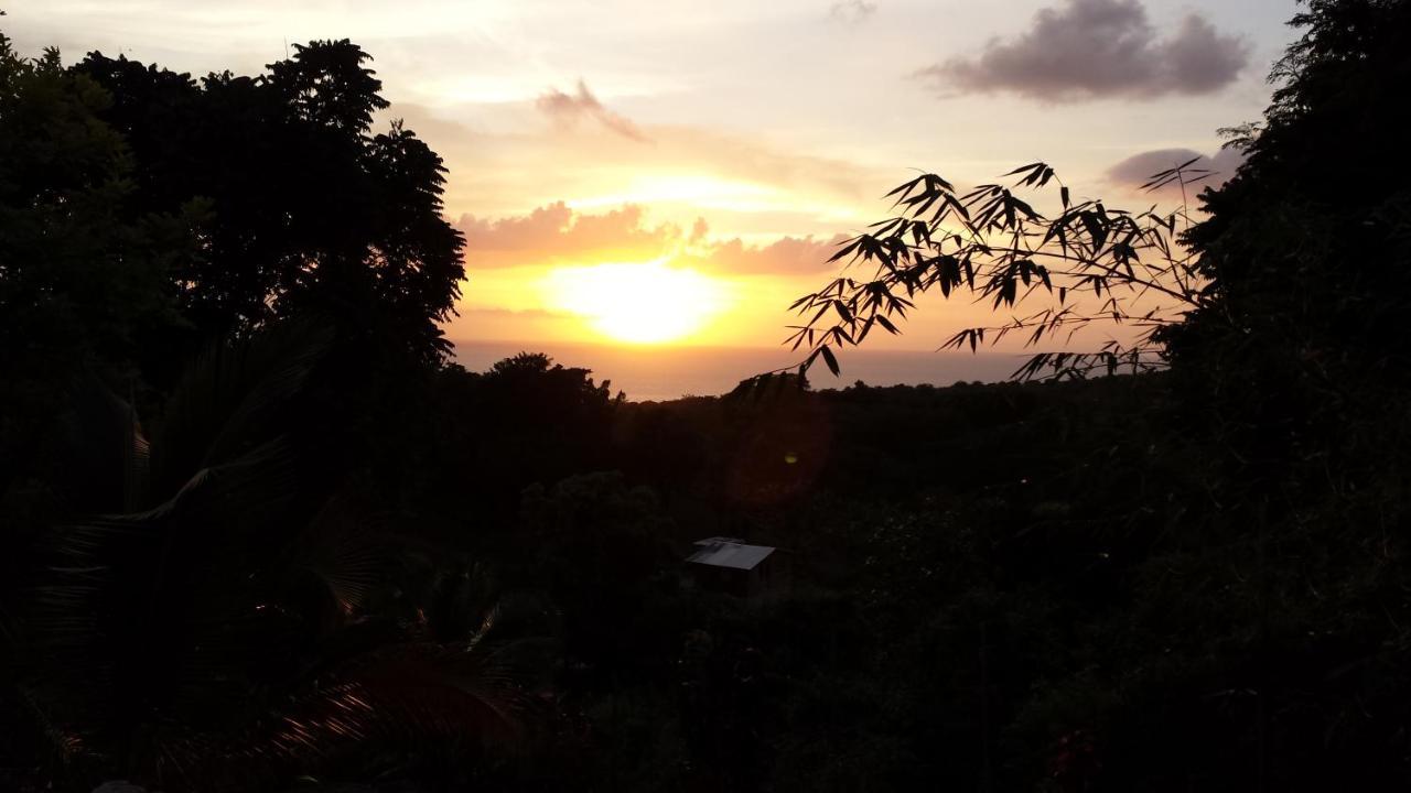 Shades Cottage Guesthouse Blue Hole ภายนอก รูปภาพ